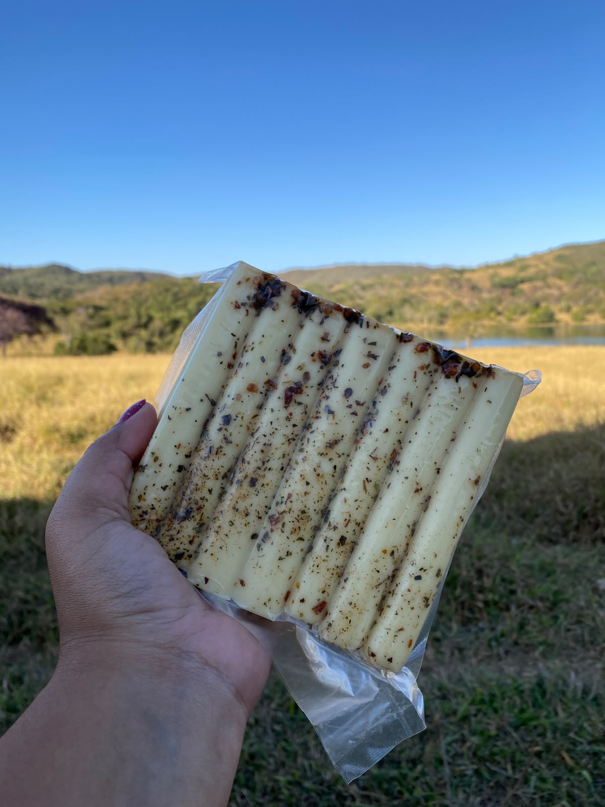 Vendas de Queijos Artesanais 